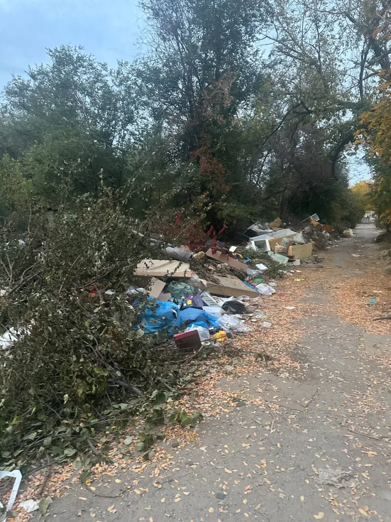 Свалка между домами на улице Сулеймана Стальского в Красноармейском районе Волгограда