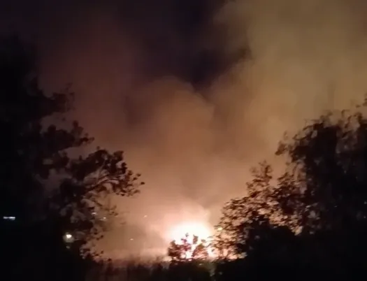 Возгорание камыша у улицы Луговой в Волгограде
