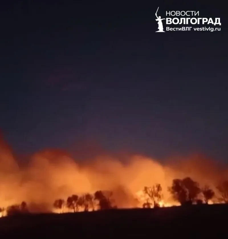 Пожар в станице Алексеевской Волгоградской области
