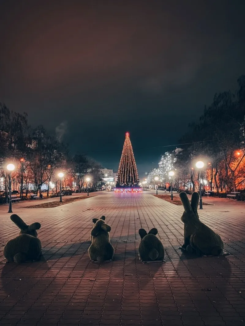 Красноармейский район Волгограда украсили к Новому году - фото