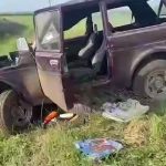 В Ольховском районе в результате опрокидывания «Нивы» погиб водитель