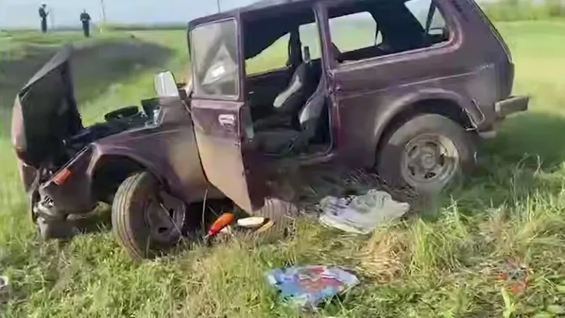 В Ольховском районе в результате опрокидывания "Нивы" погиб водитель