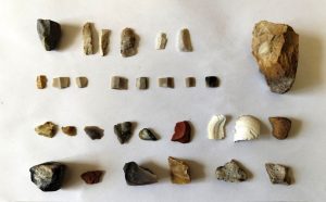 Школьник из Волгоградской области наткнулся на артефакты неолита