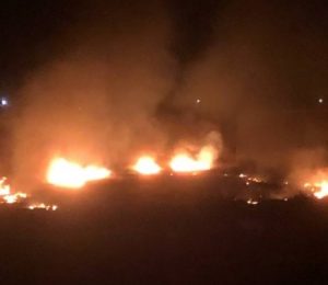 В Разгуляевке полыхают камыши: огонь быстро распространяется по округе