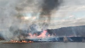 В Котово потушили возгорание камыша у пруда