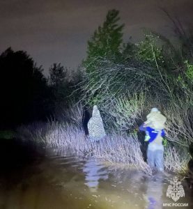 На озере Денежное в Волгоградской области МЧС спасло семьи с детьми, отрезанные паводком