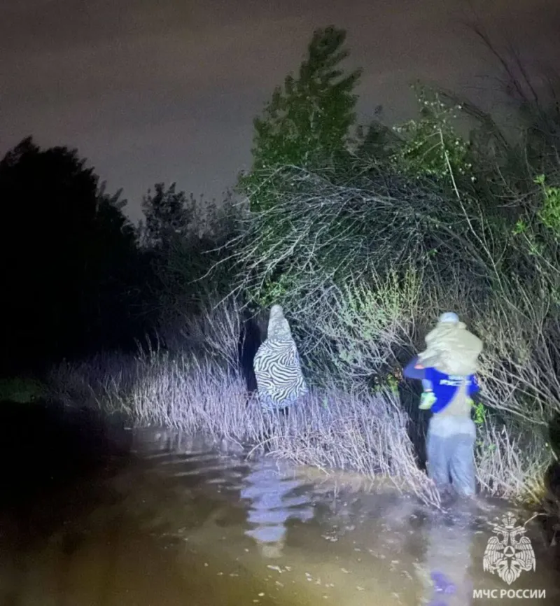 На озере Денежное в Волгоградской области МЧС спасло семьи с детьми, отрезанные паводком