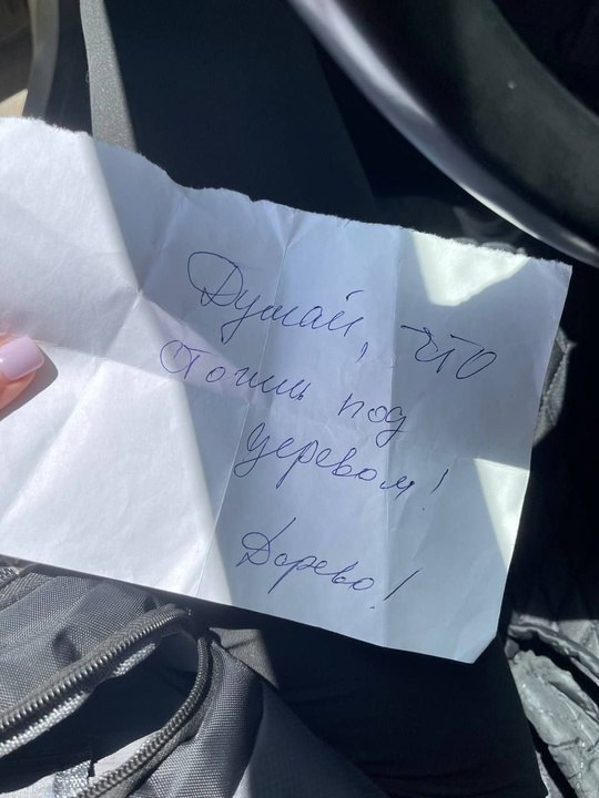 Угрозы хозяйке конного клуба в Волжском: полиция начала проверку