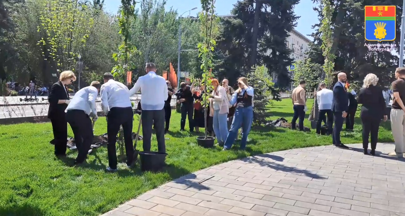 В центре Волгограда появилась аллея сакур в честь павших героев