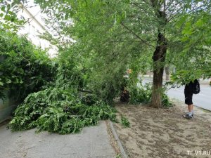 Горожане делятся последствиями непогоды: ветер срывал баннеры и крыши