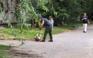 Мужчина избил собаку на глазах у ребенка в Волгограде