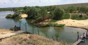 В Волгограде выявили пять опасных прудов — в воде нашли тяжёлые металлы