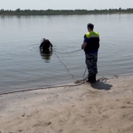 Волгоград готовится к пляжному сезону: водолазы проверяют дно реки