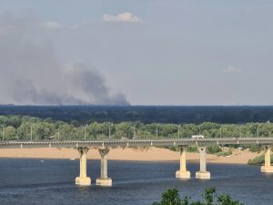 В Волжском потушили крупный ландшафтный пожар — сгорело 5 гектаров