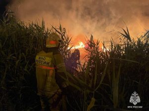 В Волгограде тушили крупный пожар в камышах на фоне жары и болотистой местности