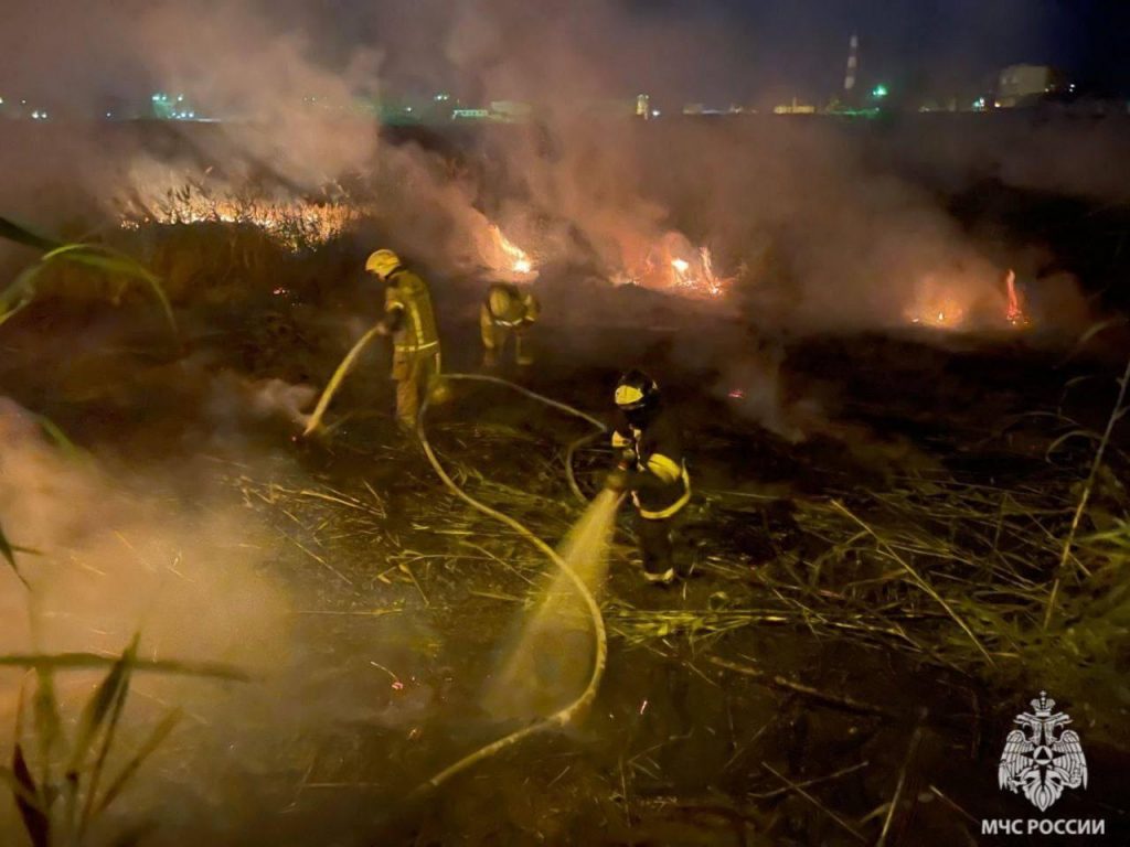 В Волгограде тушили крупный пожар в камышах на фоне жары и болотистой местности