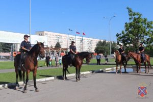 В Волжском полиция перешла на усиленный режим из-за празднования Дня города