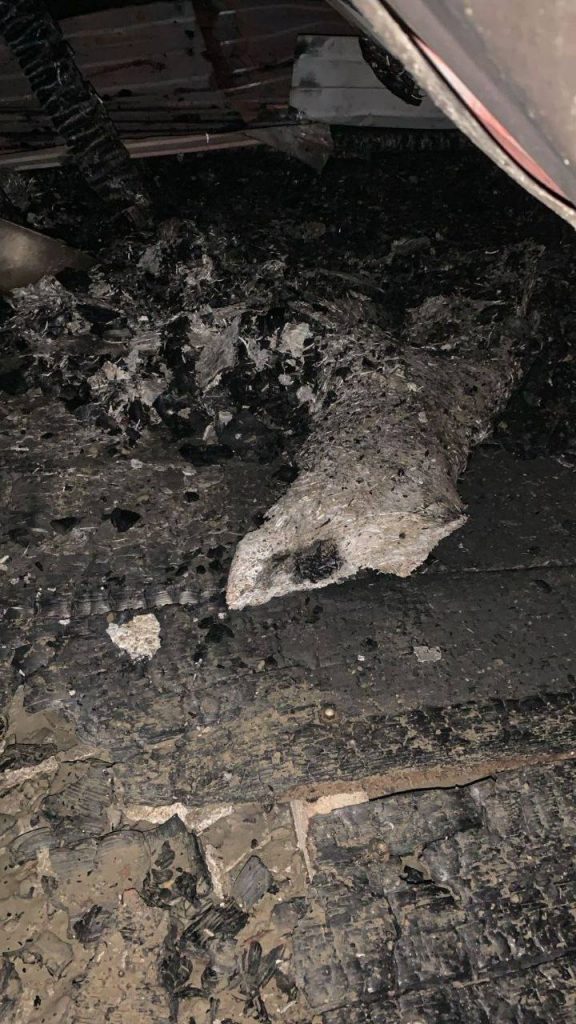 Трагедия в приюте «Догшанс»: в огне погибли питомцы, нужны волонтёры и ресурсы