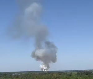 В станице Алексеевской произошло возгорание соснового леса