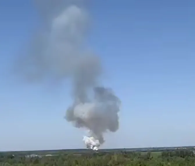 В станице Алексеевской произошло возгорание соснового леса