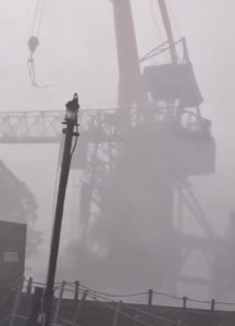 В Волжском ураган повалил ЛЭП: посёлок обесточен, возможны перебои с водой по всему городу