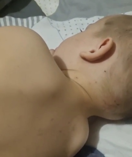 В Волжском женщину подозревают в жестоком обращении с детьми: семья живёт в общежитии без еды и мебели