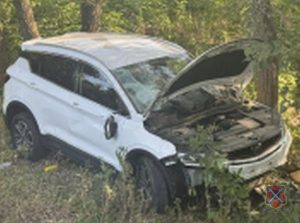Под Волгоградом погибла женщина без прав — Audi вылетела с трассы ночью