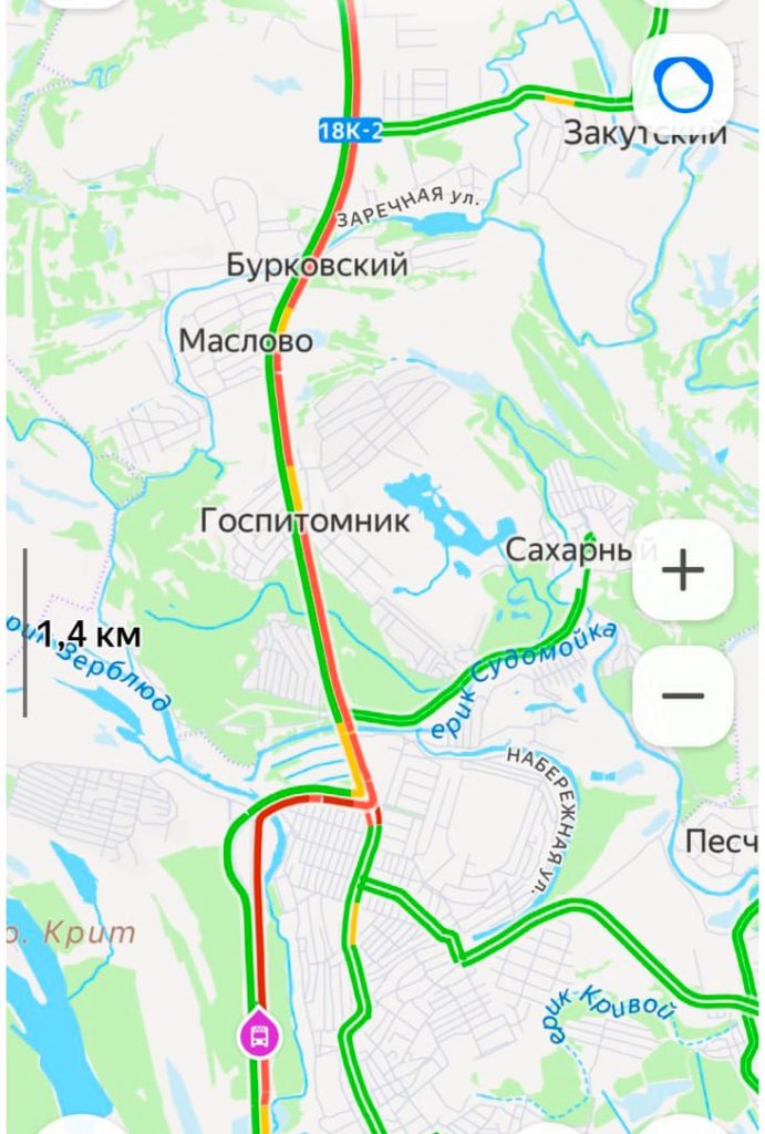 Сотни волгоградцев не успели на концерт Пелагеи из-за гигантских пробок в пойме