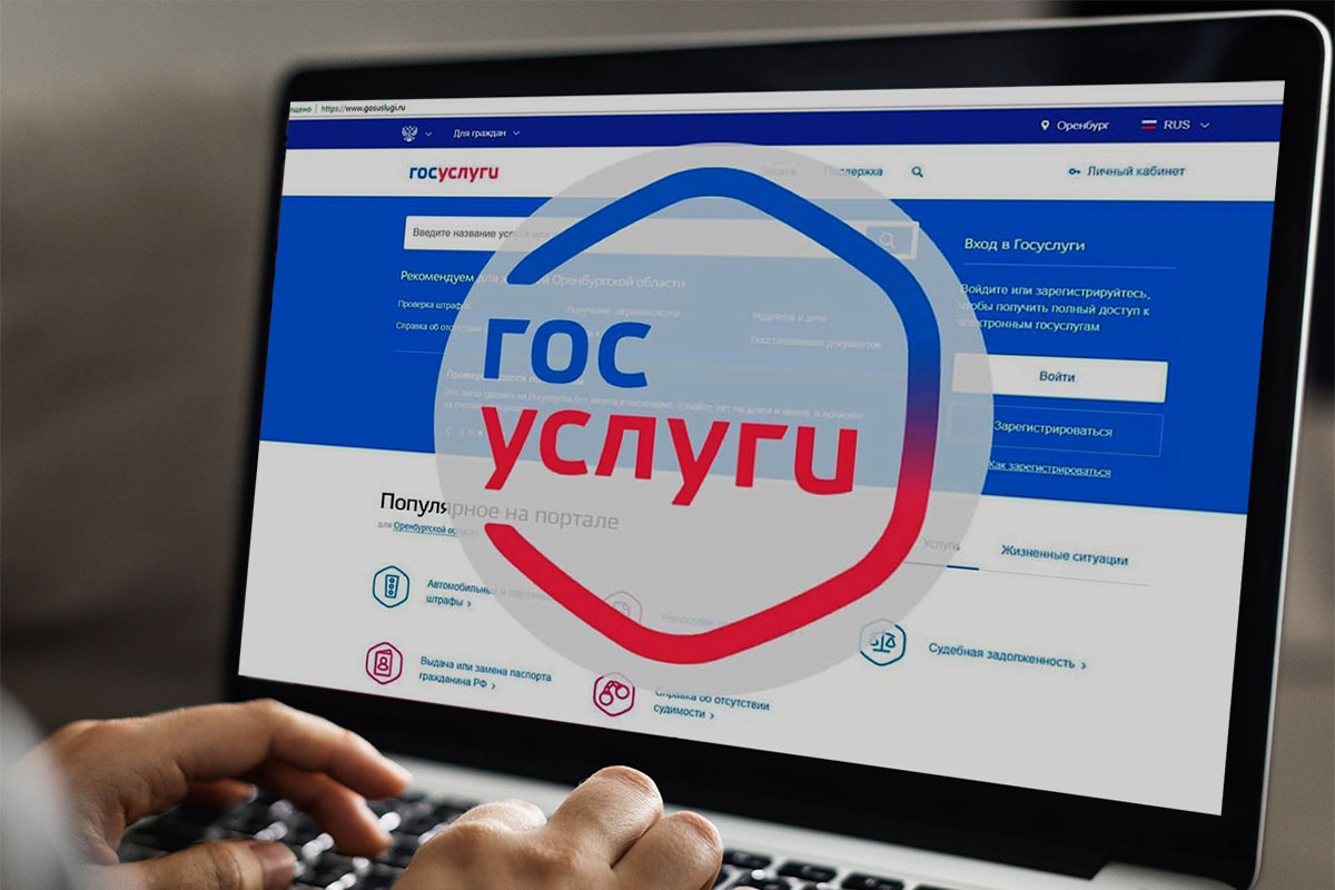 Масштабное дело о киберпреступлениях: в Волгограде задержали 14 участников группы