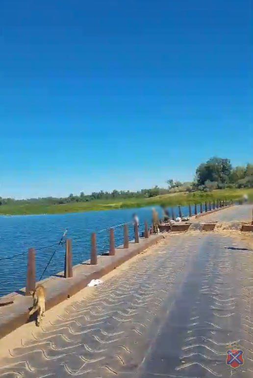Трагедия в Волгограде: тело пропавшего подростка нашли в воде