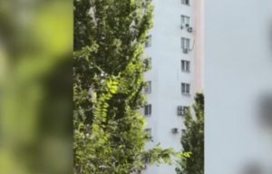 Жители Красноармейского района Волгограда услышали вой сирен утром 11 августа