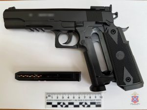 В Волгограде задержали мужчину, расстрелявшего из окна бездомную собаку