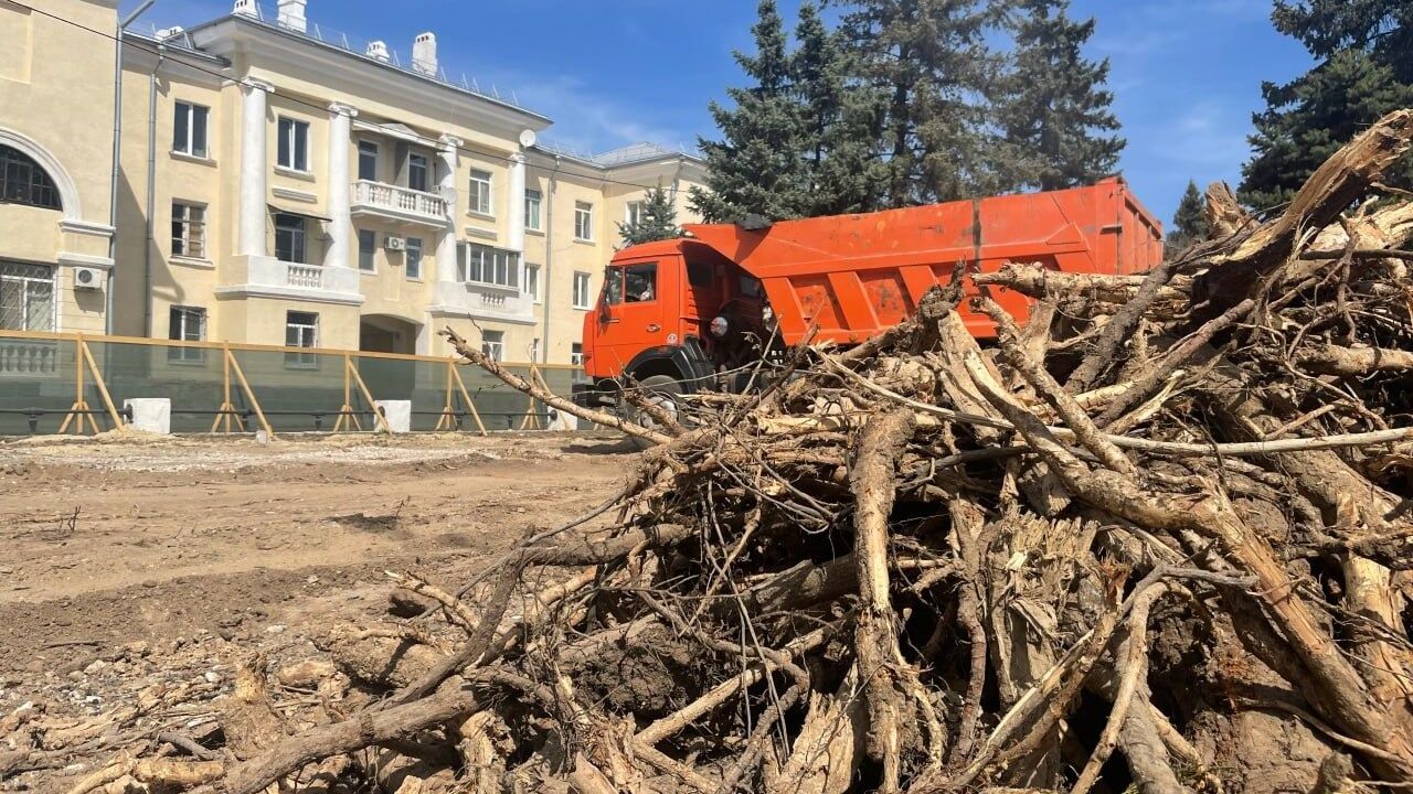 В Волжском потратят 2 миллиона на обрезку и валку деревьев
