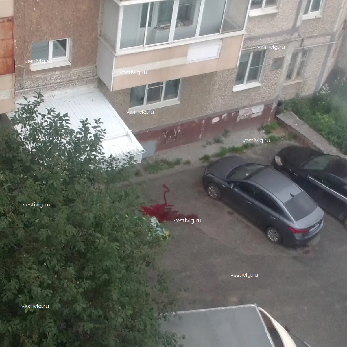 В Волгограде женщина выпала с 9-го этажа