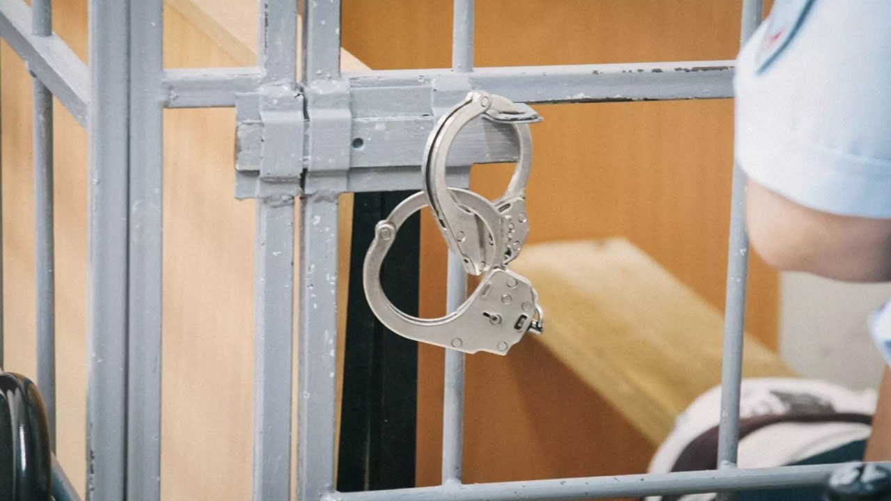 Экс-чиновница Волгограда Анна Елисеева обжаловала продление ареста