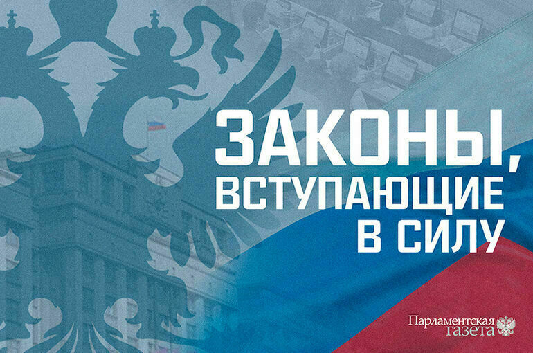 VPN, SIM-карты, школы и медицина: какие законы начали действовать в Волгограде
