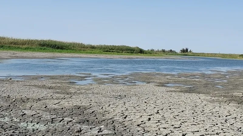 В Волгоградской области обсудили ситуацию с пересохшими водоемами поймы