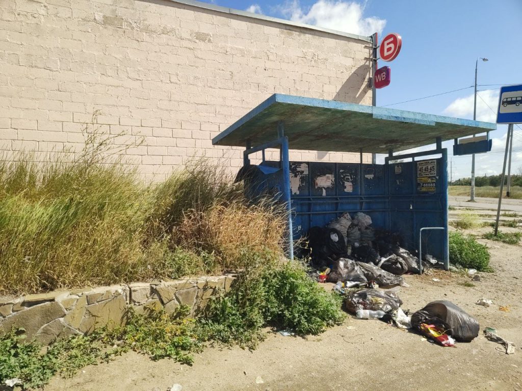 Жители Горной Поляны пожаловались на крыс и мусор у автобусной остановки