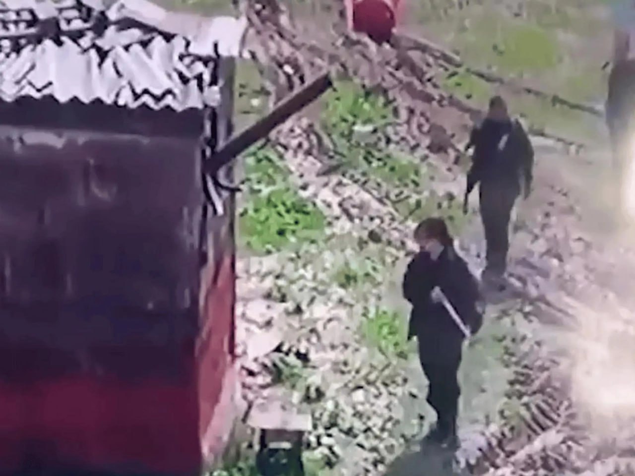 Полиция не нашла преступления в расстреле собак в Новой Надежде