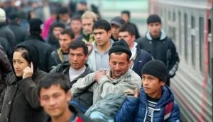 Госдума планирует компенсировать государству расходы на мигрантов после лишения гражданства