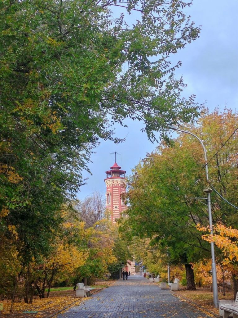 Куда пойти осенью в Волгограде: парки, музеи, кафе и атмосферные локации