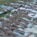 Под Волгоградом нашли останки почти полусотни бойцов времён войны