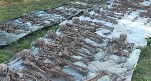 Под Волгоградом нашли останки почти полусотни бойцов времён войны