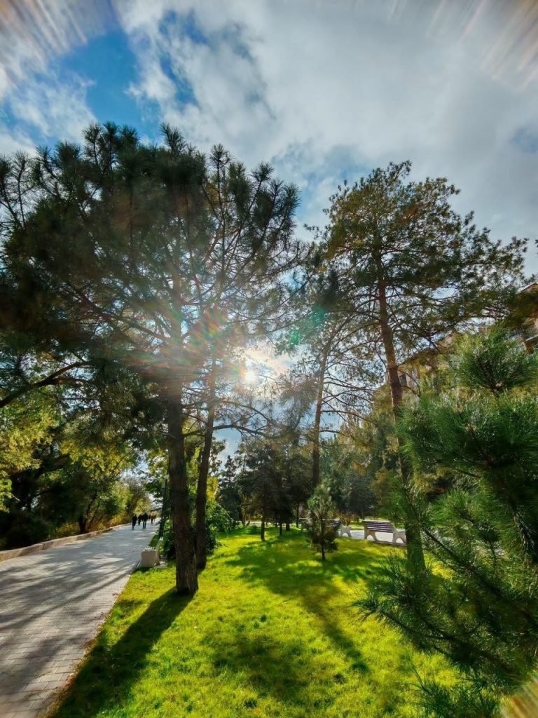 Куда пойти осенью в Волгограде: парки, музеи, кафе и атмосферные локации