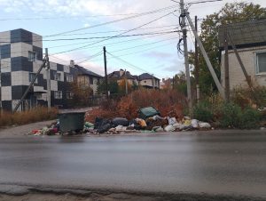 В Волгограде мусор на Джанибековской вышел на проезжую часть