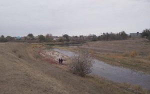 В Волгоградской области нашли погибшей 4-летнюю девочку, пропавшую со двора дома