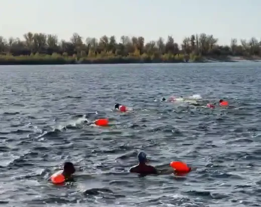 Волгоградские моржи переплыли Волгу в честь Дня учителя и работников угрозыска