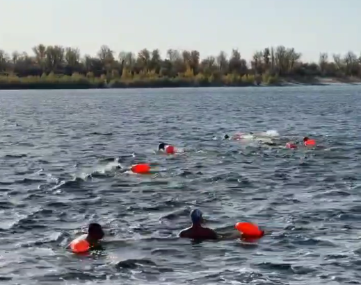 Волгоградские моржи переплыли Волгу в честь Дня учителя и работников угрозыска