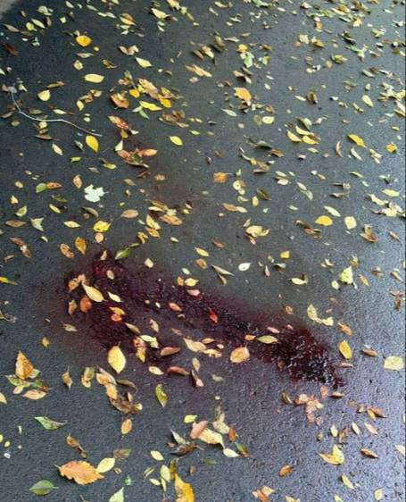 Жители Волгограда сообщают о конфликте с применением ножа на Советской улице