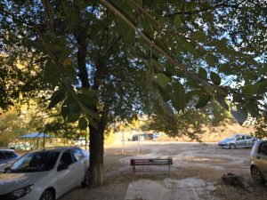 Автовладельцев Красноармейского района вызывают в администрацию из-за стоянки на зелёной зоне